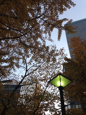 a0315420_003923.jpg