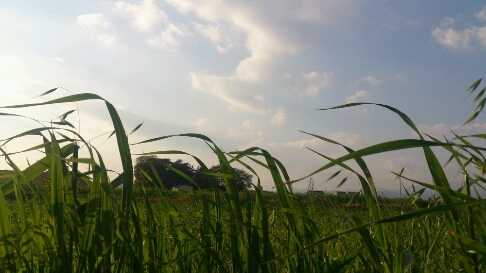 b0187620_21291697.jpg
