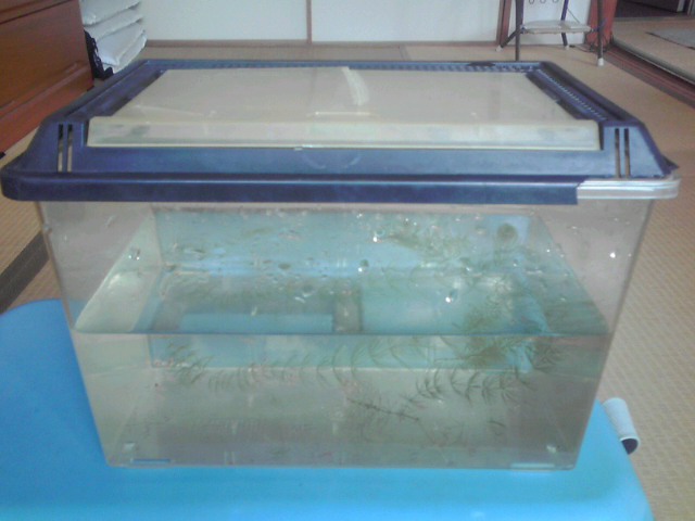 a0291521_8553227.jpg