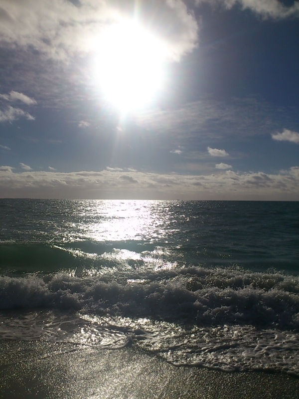 c0025422_1835496.jpg