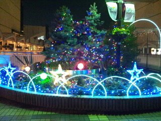 b0247223_2023179.jpg