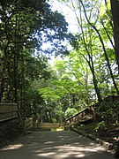 2013年 京都　新緑　～おさんぽ その1～_d0149223_13323327.jpg