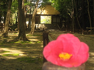 d0149223_13553764.jpg