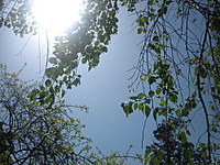 d0149223_14414411.jpg