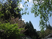 d0149223_14431146.jpg