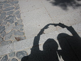 d0149223_15195935.jpg