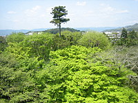 d0149223_1584364.jpg