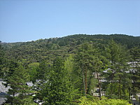 d0149223_1585623.jpg