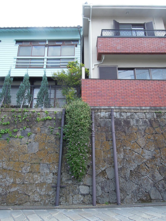 e0242423_712871.jpg