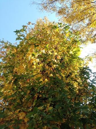 c0109726_13153553.jpg