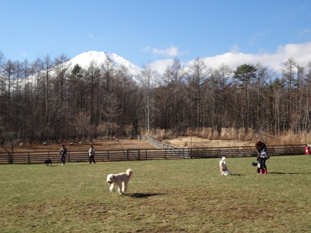 c0254426_18650.jpg
