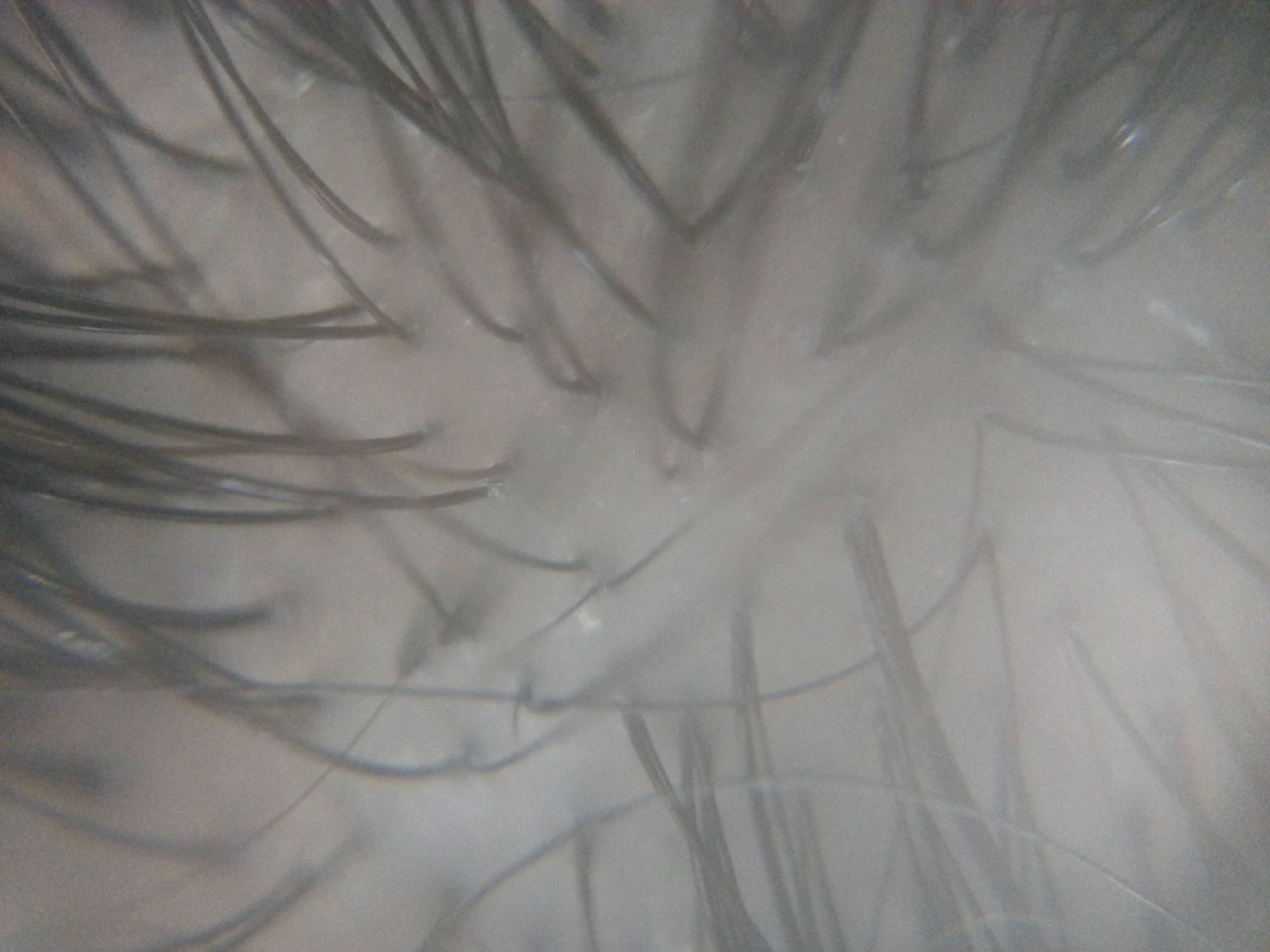 c0045730_11565158.jpg