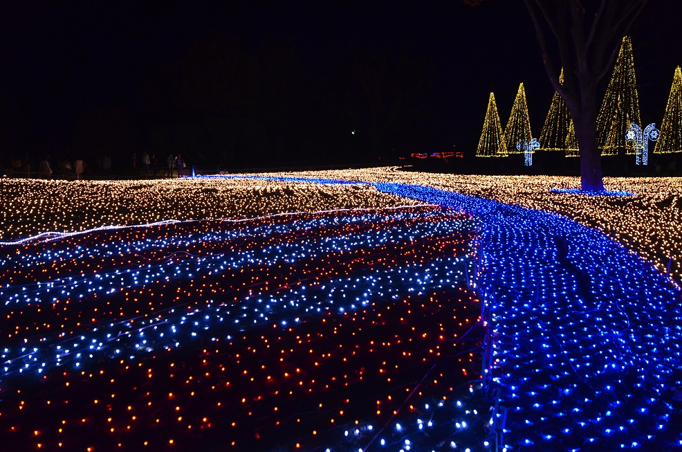 木曽三川公園クリスマスイルミネーション　その２_f0124830_22434861.jpg