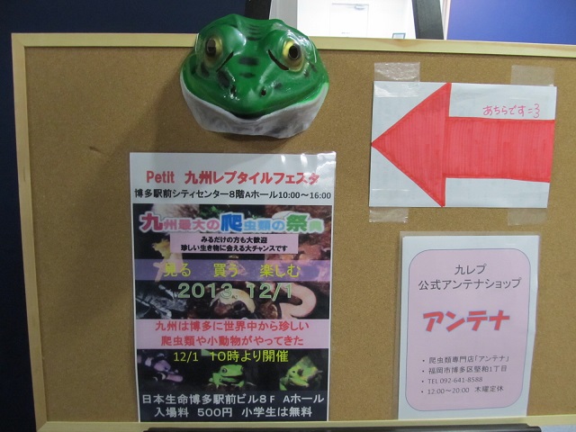 プチレプご来場ありがとうございました_b0174337_20525676.jpg