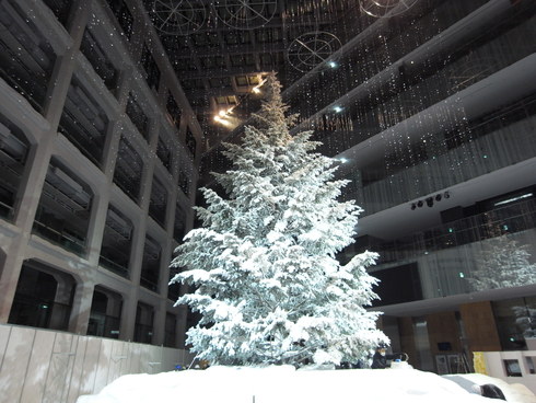 KITTE クリスマスツリー_a0076939_092283.jpg