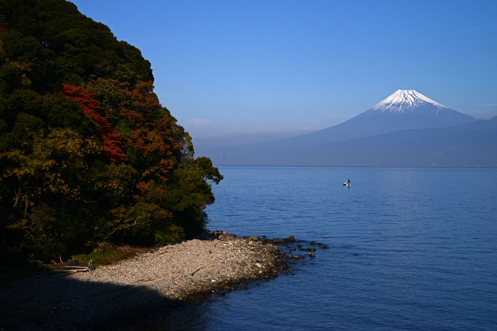 西浦から富士山_d0294539_20142578.jpg