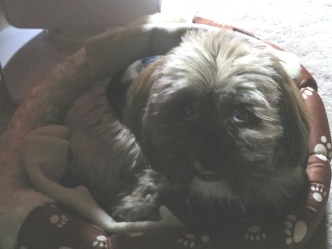 e0060041_21571611.jpg