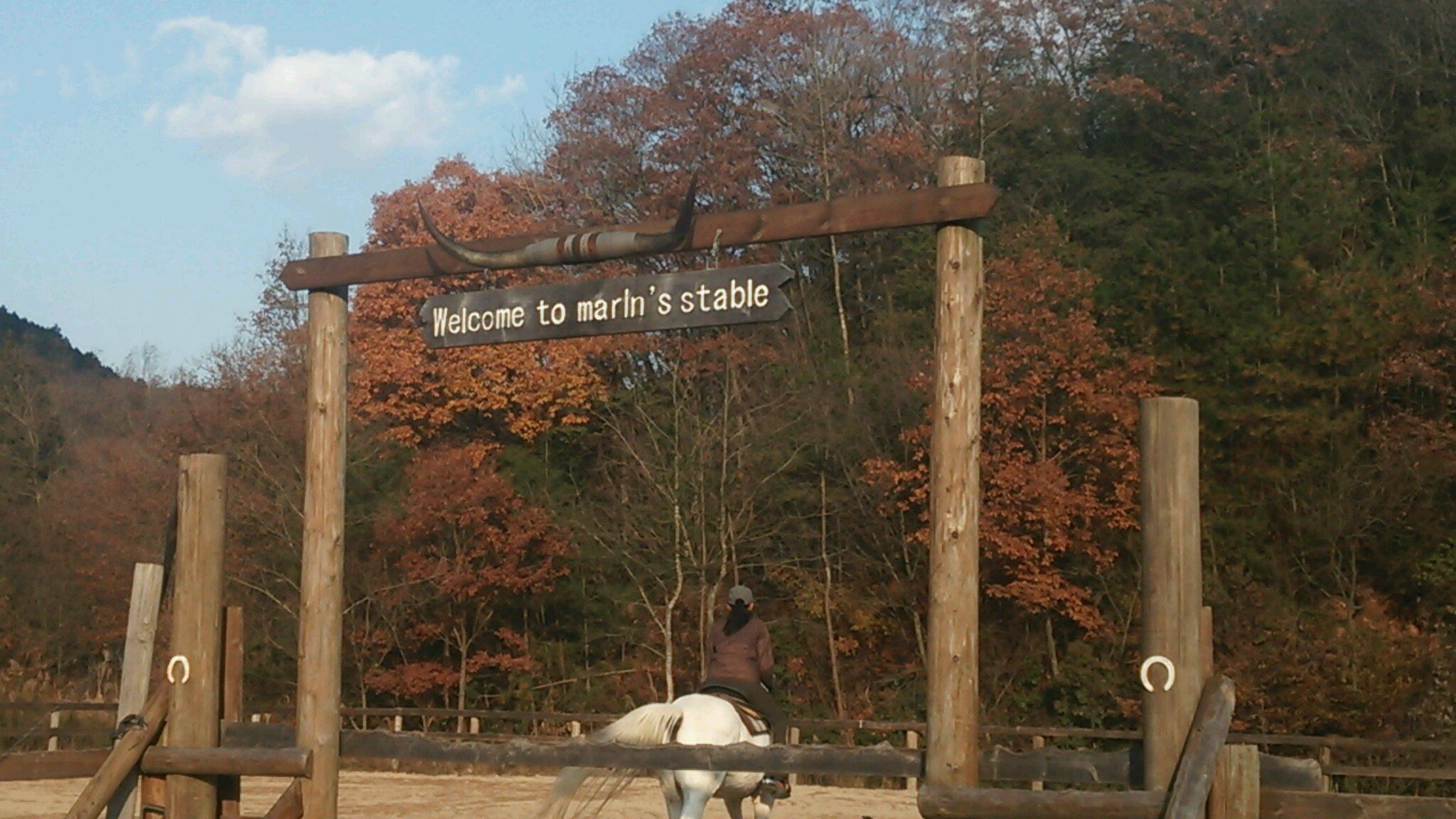 e0145441_6503120.jpg