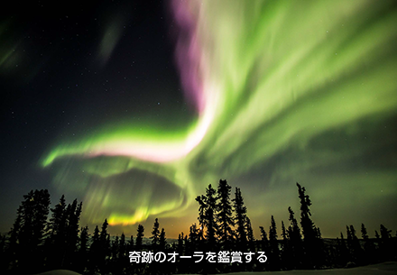 「オーロラ王国ブロガー観光大使」出発前日の“意気込み”など_c0060143_1482250.png
