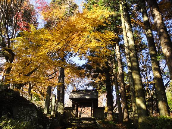 国東の紅葉観賞_e0164643_15324374.jpg