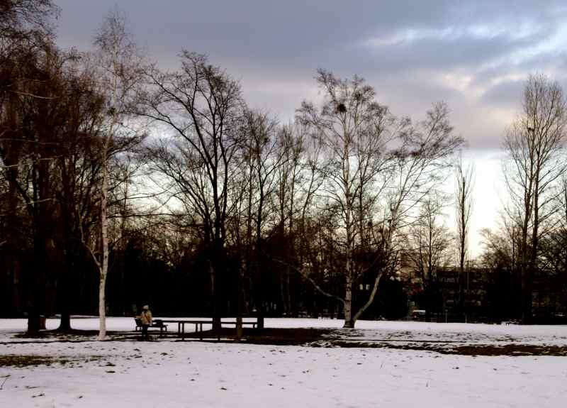 真駒内公園に集う人々　　①_f0119643_947141.jpg