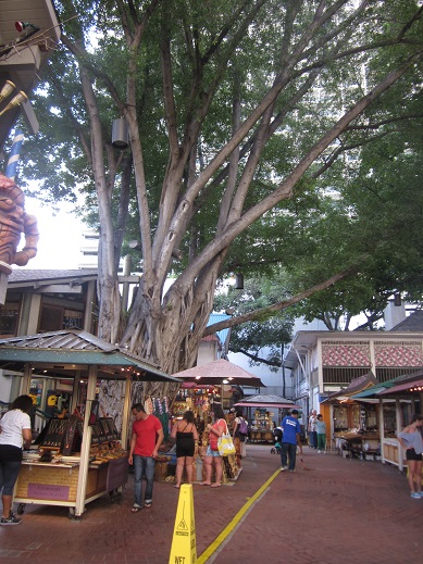 f0087347_22424211.jpg