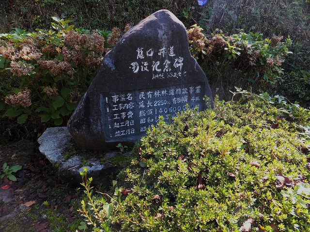 d0048350_1635172.jpg