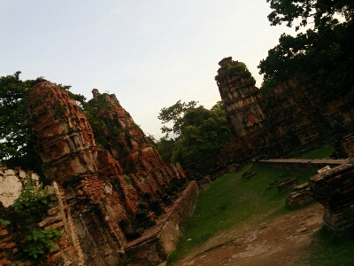 d0068151_8534559.jpg