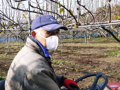 熊本梨 岩永農園 来年も美味しい梨を実らせるための堆肥ふり_a0254656_17165474.jpg