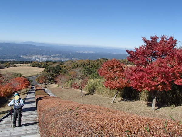 紅葉の栗野岳_b0276758_17144839.jpg