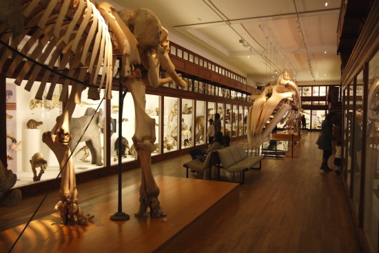 b0134961_18314712.jpg