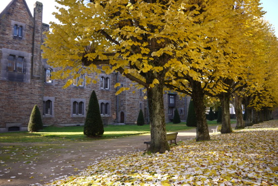 b0134961_18321363.jpg