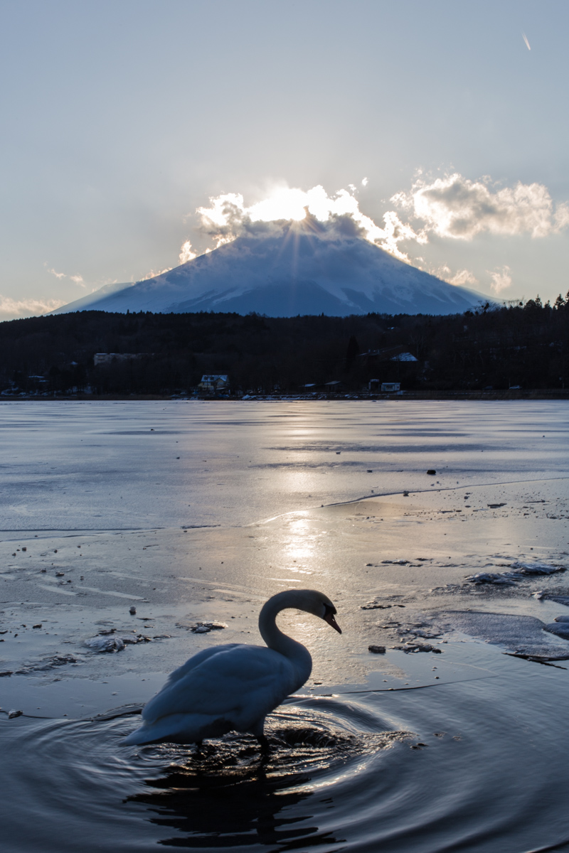 2013年を振り返って...2月編_a0119166_22383947.jpg