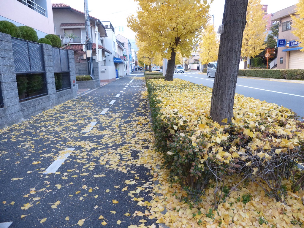 f0205367_1722492.jpg