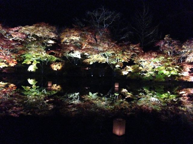 c0238374_18463781.jpg