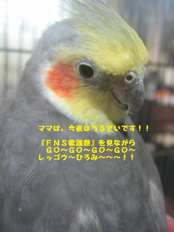 e0027078_21535783.jpg