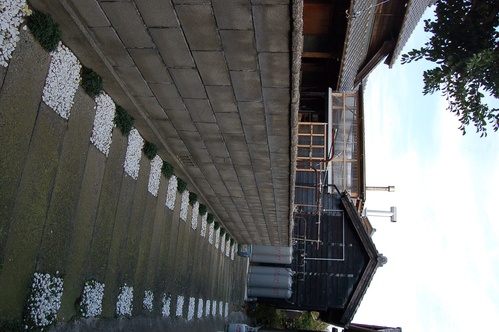 c0155980_2281899.jpg