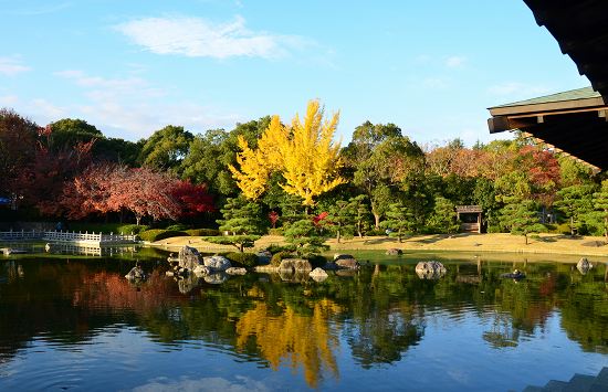 大仙公園　庭園の紅葉2013②_c0229483_023569.jpg