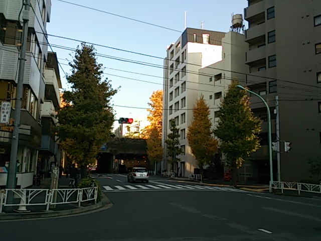 『銀杏が綺麗な千駄ヶ谷』_a0075684_0564455.jpg