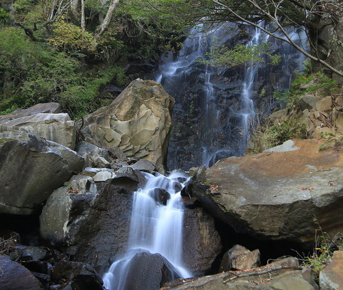 d0290987_2053208.jpg