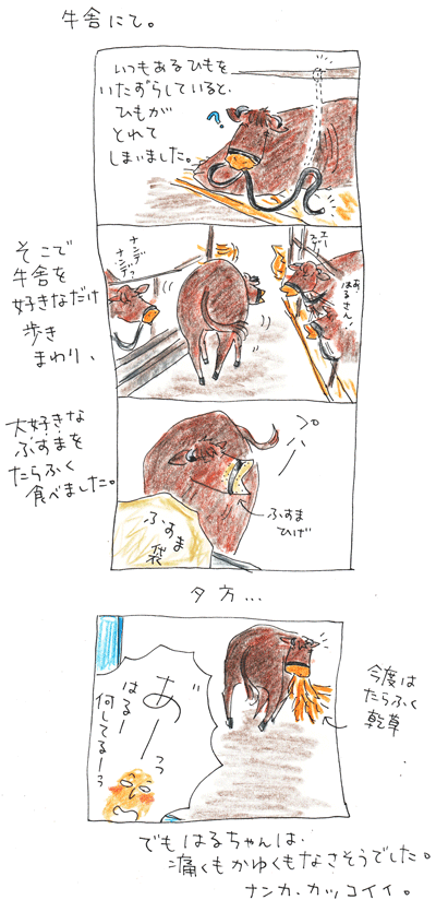 はるちゃんのご機嫌な一日_f0236291_9295094.gif