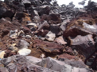 a0137192_1481692.jpg