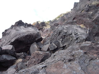 a0137192_14989.jpg