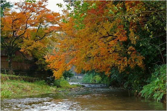 秋月城跡周辺の紅葉_e0176993_7561097.jpg