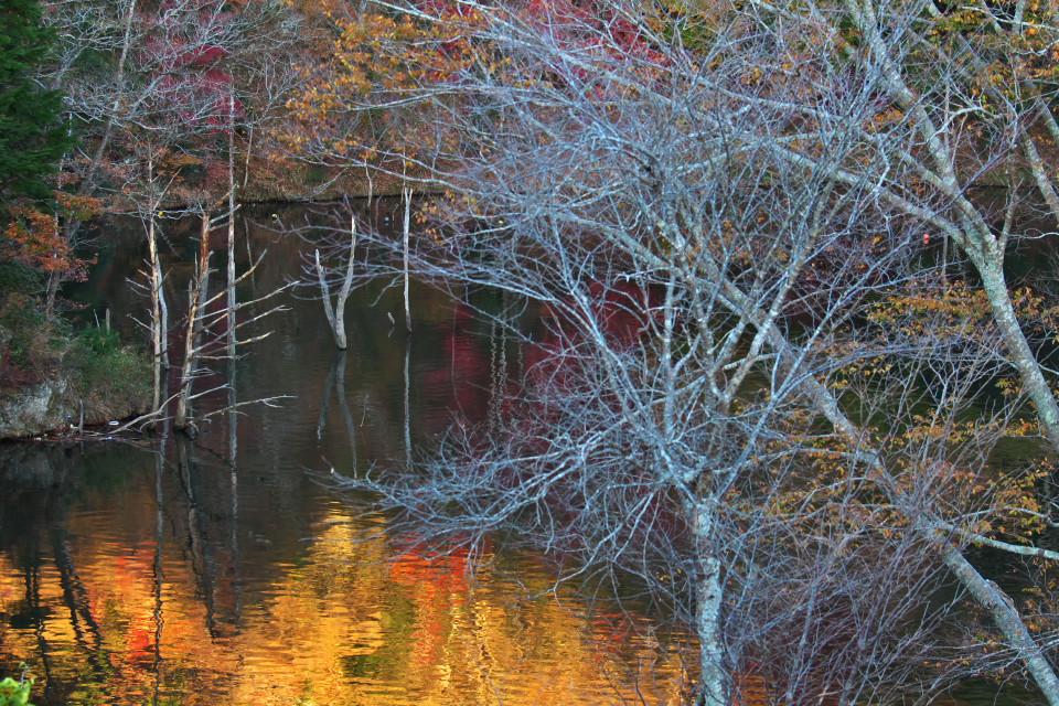 房総半島の紅葉（II）笹川湖_d0248494_21252450.jpg