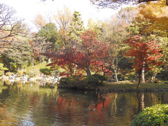 落ち葉踏み分け　　（有栖川記念公園の紅葉）_f0307097_23192772.jpg