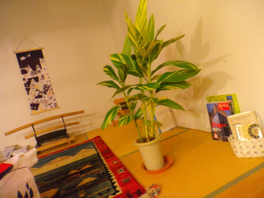 c0216598_8183316.jpg