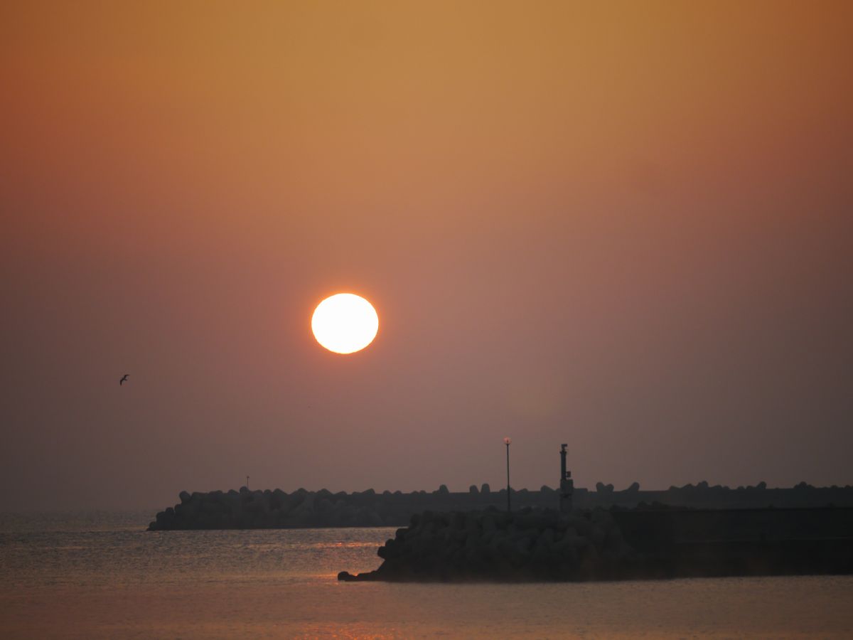 b0165802_7495688.jpg