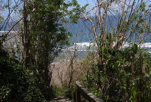 Green Bowl Beachと そこから Nusa Duaへ@ Ungasan ⇒ Nusa Dua (\'13年10月)_f0319208_032319.jpg