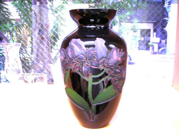 c0310009_1710999.jpg